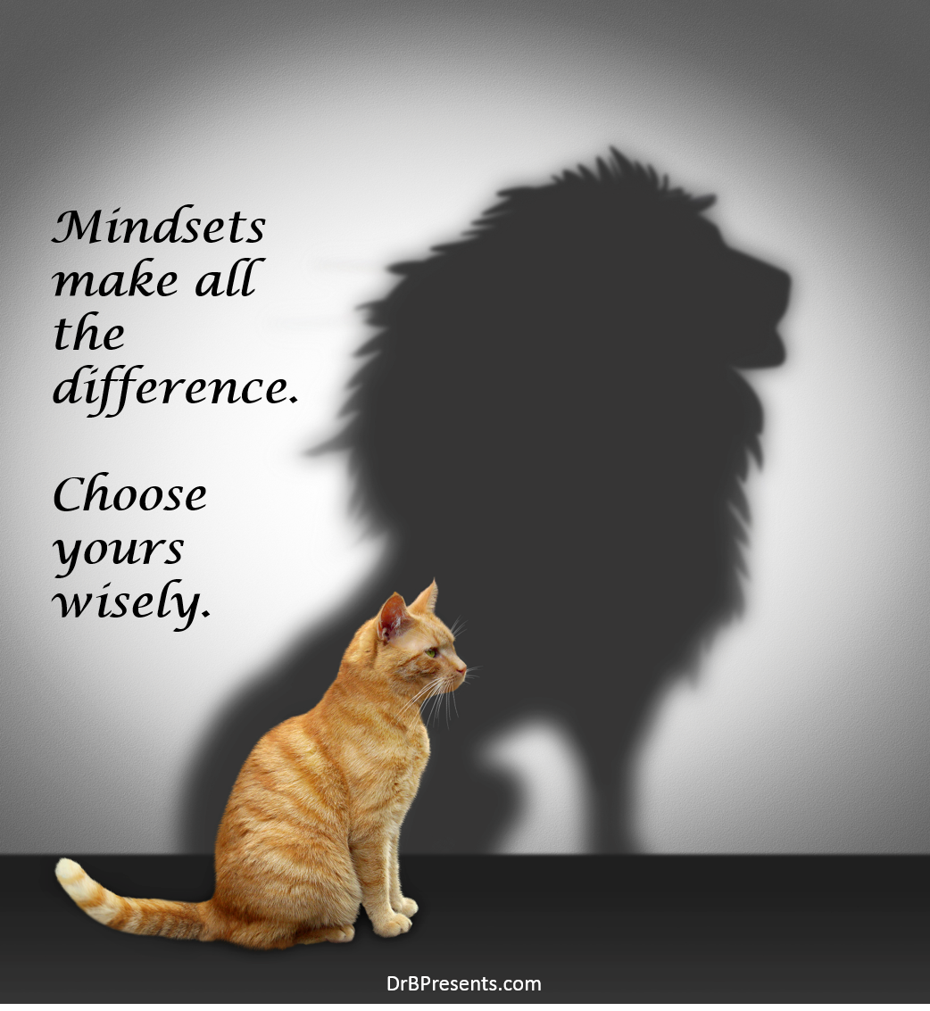 Choose Your Mindset Wisely - Coaching for High-Achieving Professionals ...