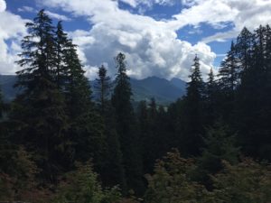 Cascades in Washington